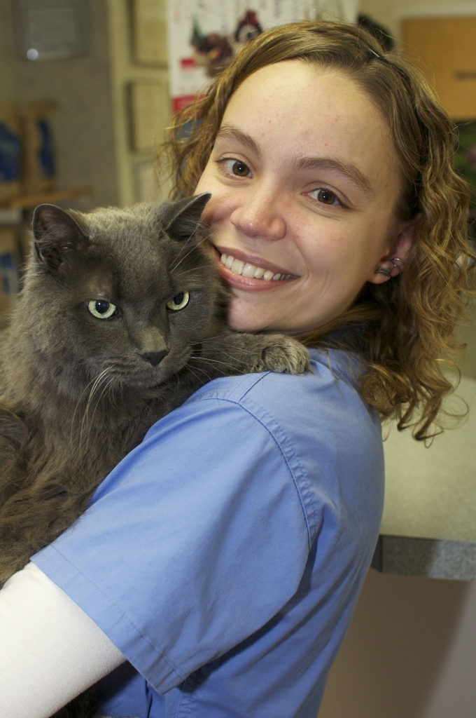 Our Team Lyndon Veterinary Clinic Fayetteville, NY